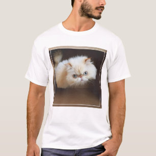 Katze in einem Kasten T-Shirt