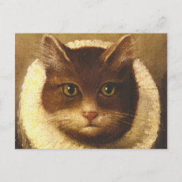 Katze in einem Ruff Niedliche Viktorianische Kunst Postkarte