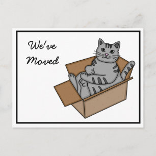 Katze in einer Box "Wir ziehen um" Neue Adresse    Ankündigungspostkarte