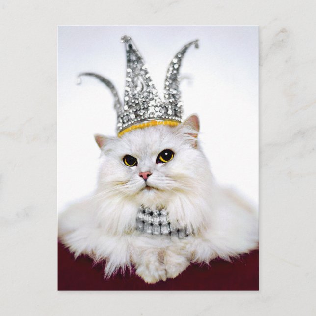 Katze in einer Krone Einladungspostkarte (Vorderseite)