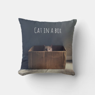 Katze in einer Schachtel. Der Zen-Katzenmeister. Kissen