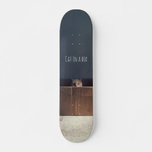 Katze in einer Schachtel. Der Zen-Katzenmeister. Skateboard