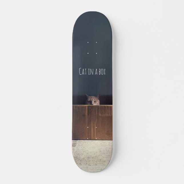 Katze in einer Schachtel. Der Zen-Katzenmeister. Skateboard (Vorne)