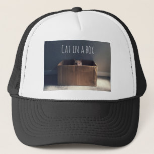 Katze in einer Schachtel. Der Zen-Katzenmeister. Truckerkappe