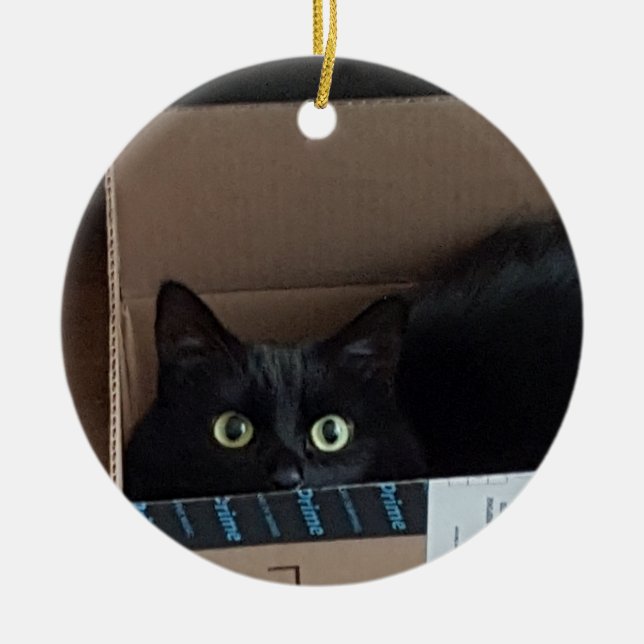 Katze in einer Schachtel Keramik Ornament (Vorne)