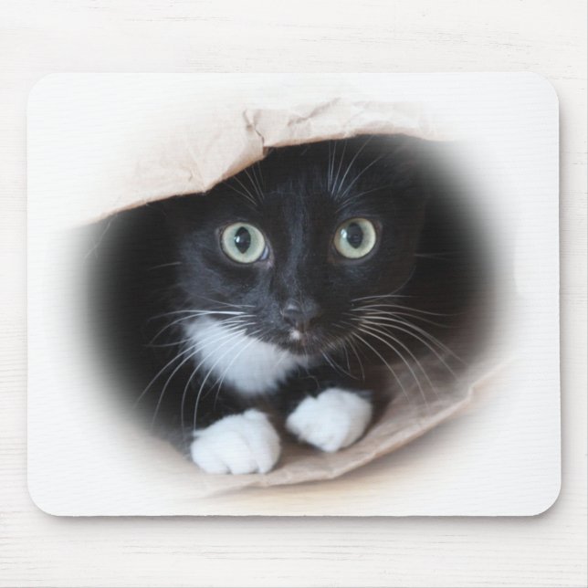 Katze in einer Tasche Mousepad (Vorne)