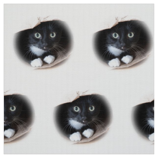 Katze in einer Tasche Stoff (Muster)