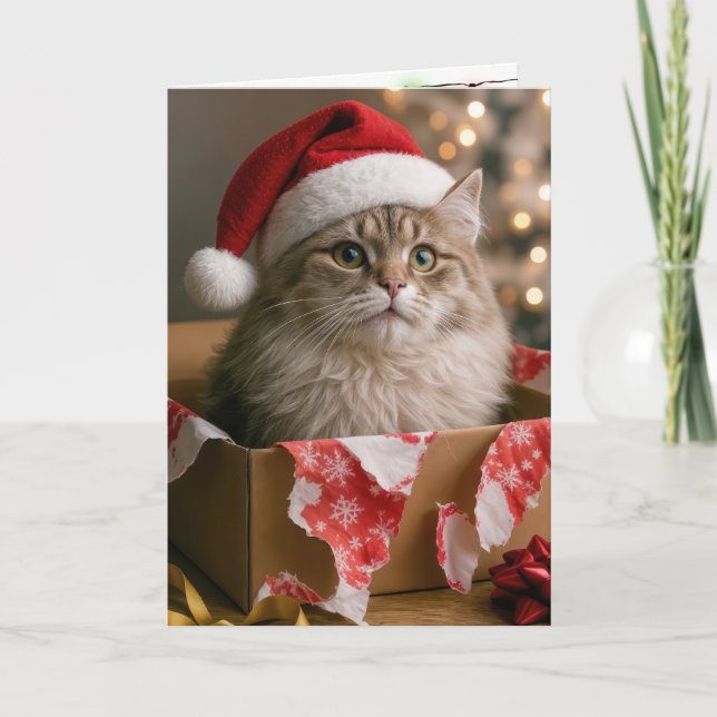 Katze in einer Weihnachtsgeschenkbox Karte (Vorderseite)