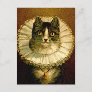 Katze in Elizabethan Collar Kostüm Postkarte