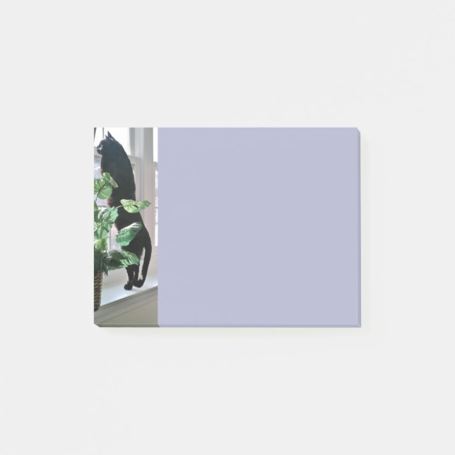 Katze in Fenster Posten-it® merkt 4 x 3 Post-it Klebezettel (Vorderseite)
