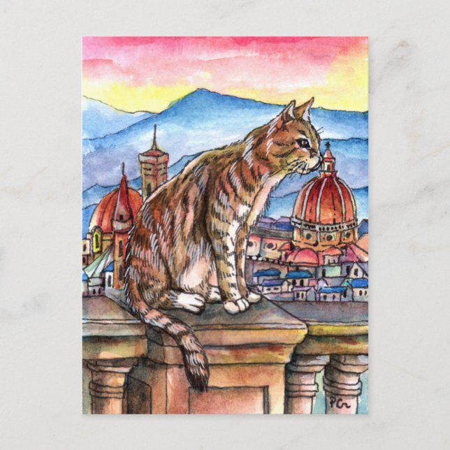 Katze in Florenz Postkarte (Vorderseite)