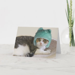 Katze in Hat Birthday durch Fokus für eine Sache Karte