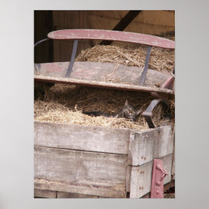 Katze in Hay Wagon Print Poster