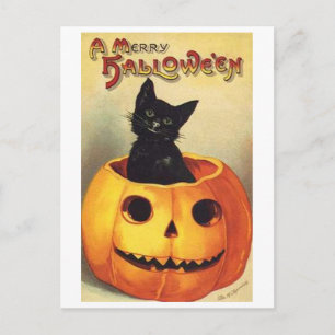 Katze in Kürbis Postkarte