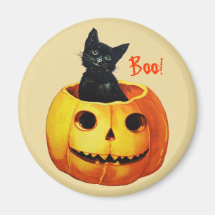 Katze in Kürbis Vintage-Halloween-Magnet Magnet