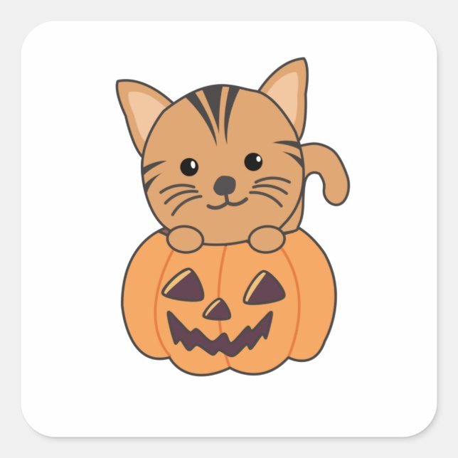 Katze in Kürbiskatzen Halloween Quadratischer Aufkleber (Vorderseite)