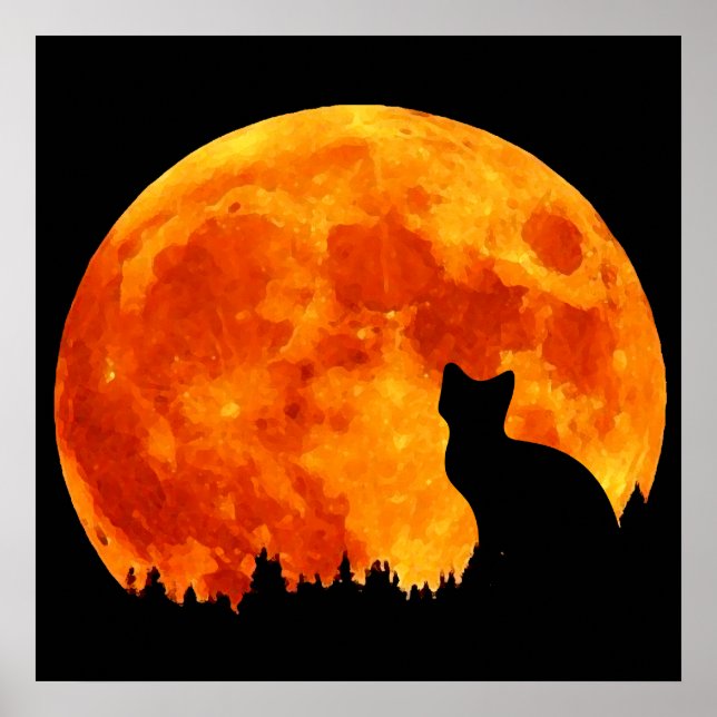 Katze in orangefarbenem Mond Poster (Vorne)
