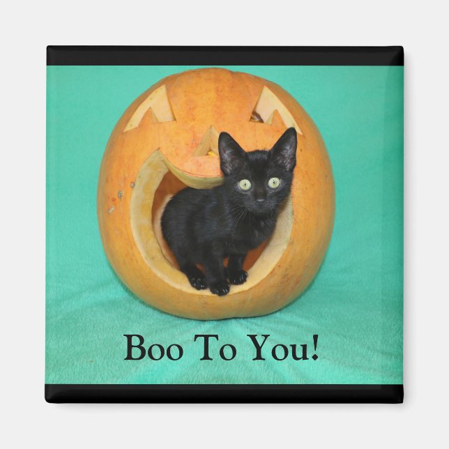 Katze in Pumpkin 2 Zoll Square Magnet (Vorne)