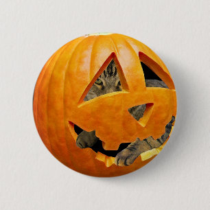 Katze in Pumpkin Button