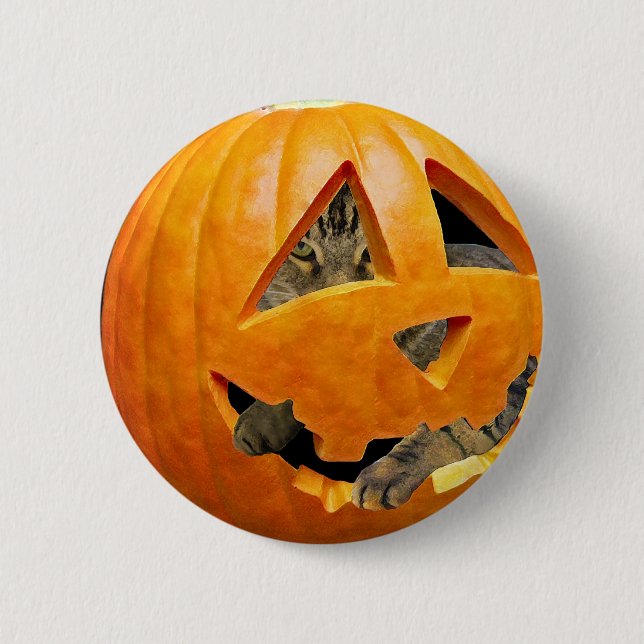 Katze in Pumpkin Button (Vorderseite)