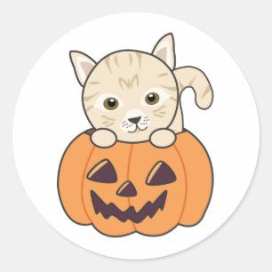 Katze in Pumpkin Sweet Cats Happy Halloween Classi Runder Aufkleber