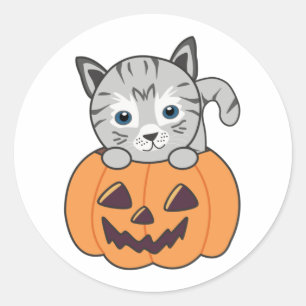 Katze in Pumpkin Sweet Cats Happy Halloween Classi Runder Aufkleber