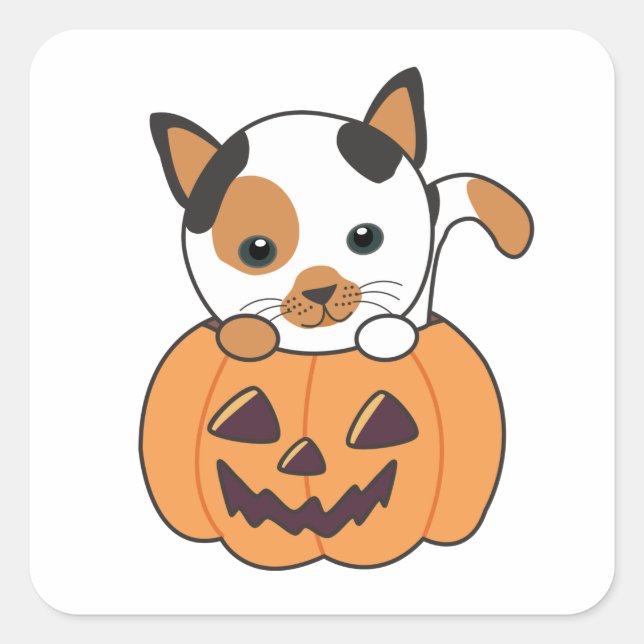 Katze in Pumpkin Sweet Cats Happy Halloween Quadratischer Aufkleber (Vorderseite)