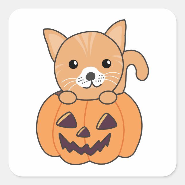 Katze in Pumpkin Sweet Cats Happy Halloween Square Quadratischer Aufkleber (Vorderseite)