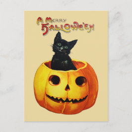 Katze in Pumpkin Vintage Halloween Postkarte