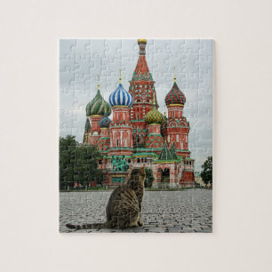Katze in Russland Moskau Reisen