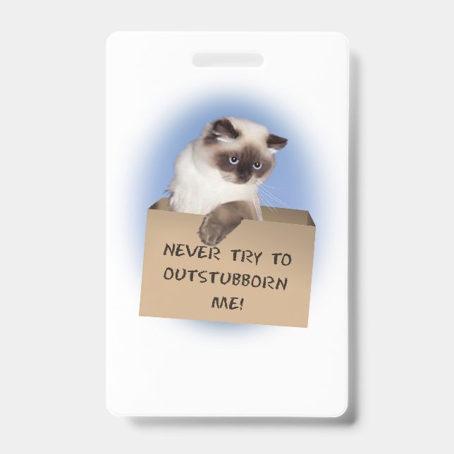Katze in Schachtel Ausweis (Vorderseite)
