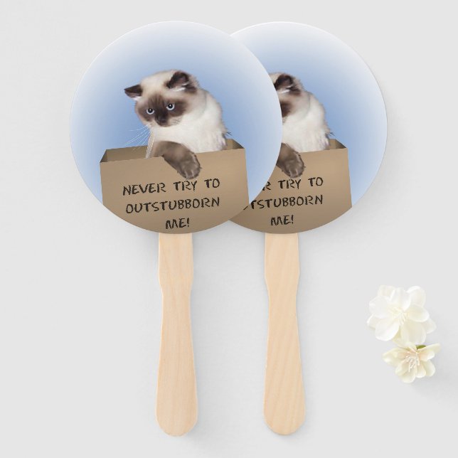 Katze in Schachtel Fächer (Vorne und Hinten)
