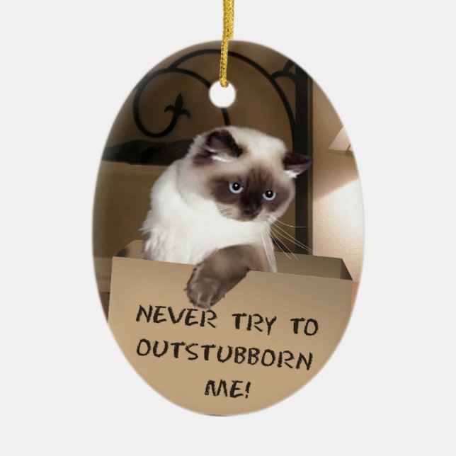 Katze in Schachtel Keramikornament (Vorne)