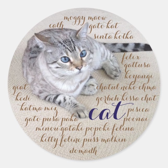 Katze in vielen Sprachen Runder Aufkleber (Vorderseite)