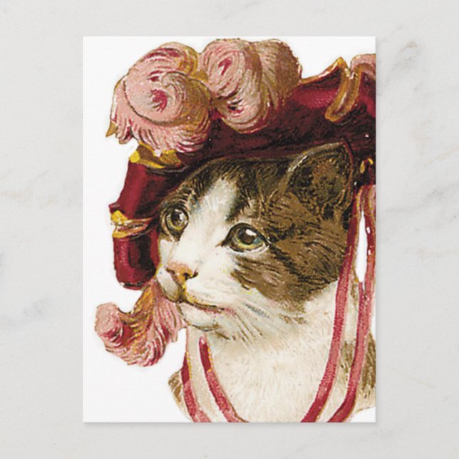 Katze in Viktorianischem Hut Postkarte (Vorderseite)