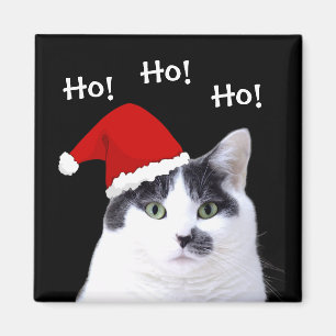 Katze in Weihnachtsmannmütze Ho Ho Ho Magnet