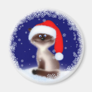 Katze in Weihnachtsmannmütze Magnet