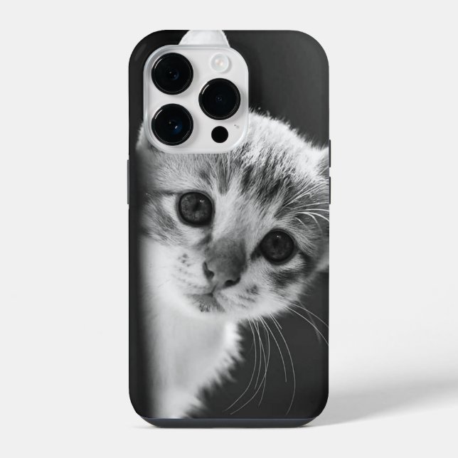 Katze iPhone 14 Pro Hülle (Rückseite)