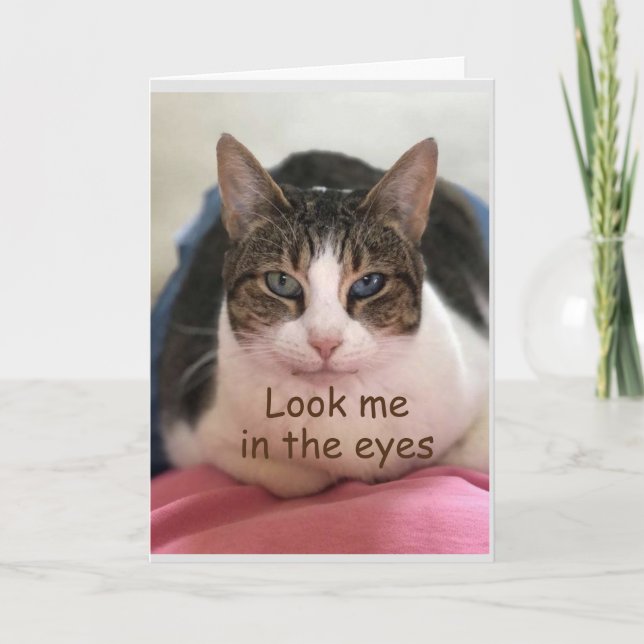 KATZE IST NICHT GLAUBBAR, DASS SIE *30" SIND KARTE (Vorderseite)
