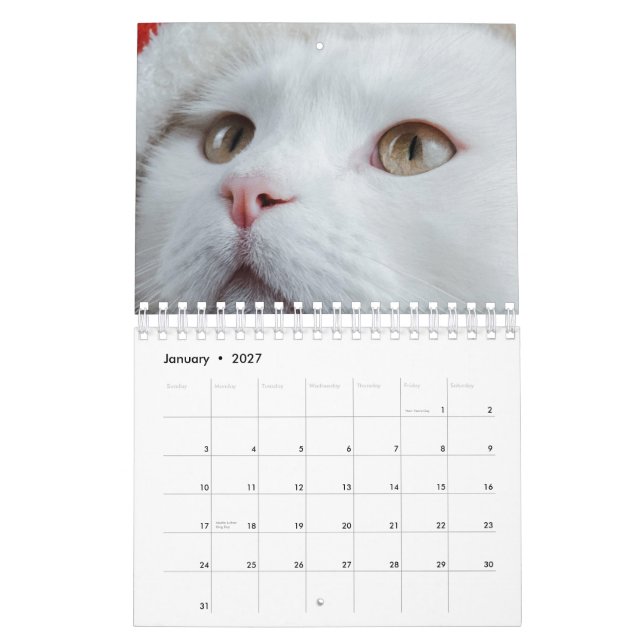 Katze Kalender (Jan 2027)