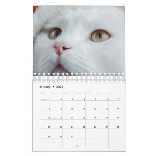 Katze Kalender