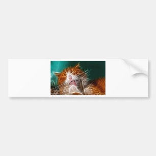 Katze Kätzchen süße niedliche Katze Schnurren Miau Autoaufkleber