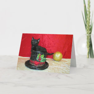 Katze, Kätzchen, Weihnachten, Rettung, Foto Feiertagskarte