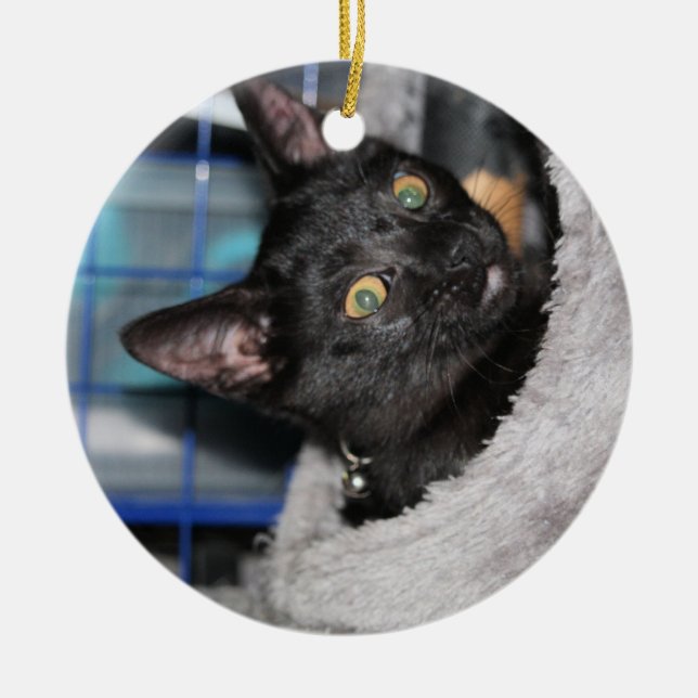 Katze Keramik Ornament (Vorne)