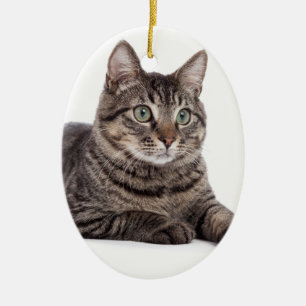 Katze Keramik Ornament