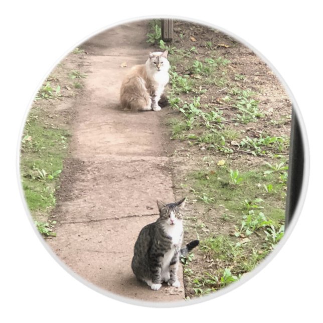 Katze Keramikknauf (Vorderseite)