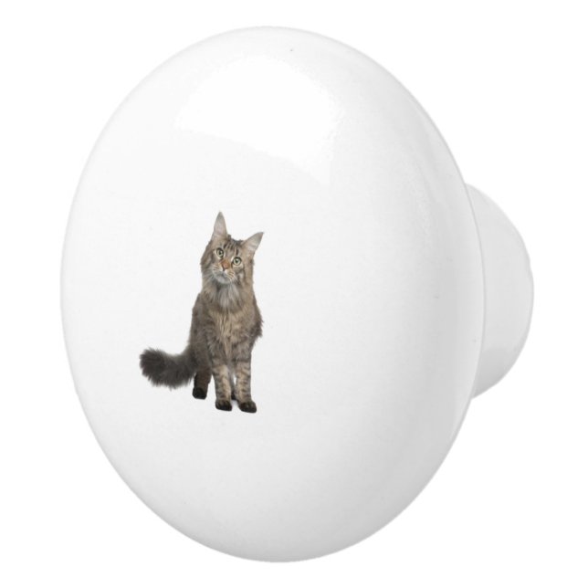 Katze Keramikknauf (Rechts)