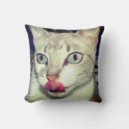 Katze Kissen