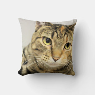 Katze Kissen