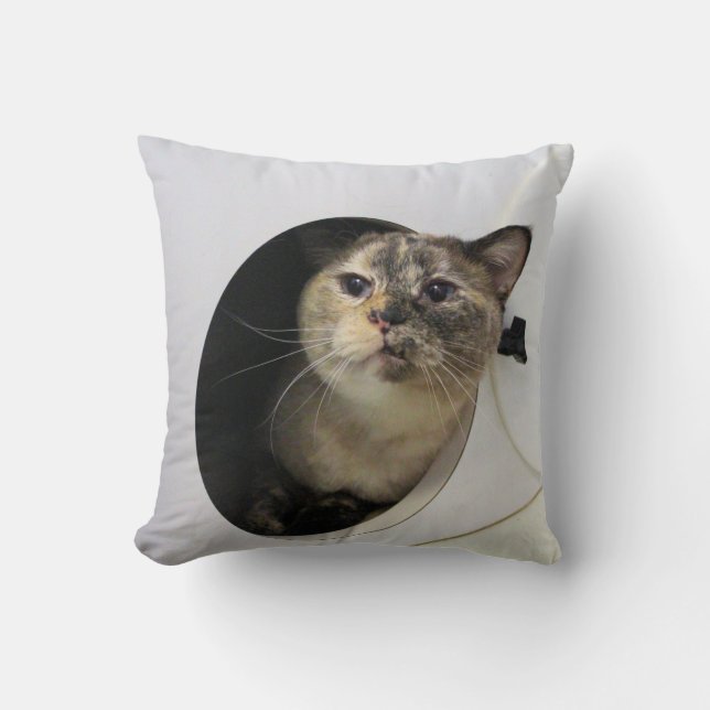 Katze Kissen (Vorderseite)